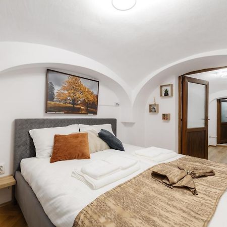 Downtown Cio Apartment Сибиу Экстерьер фото