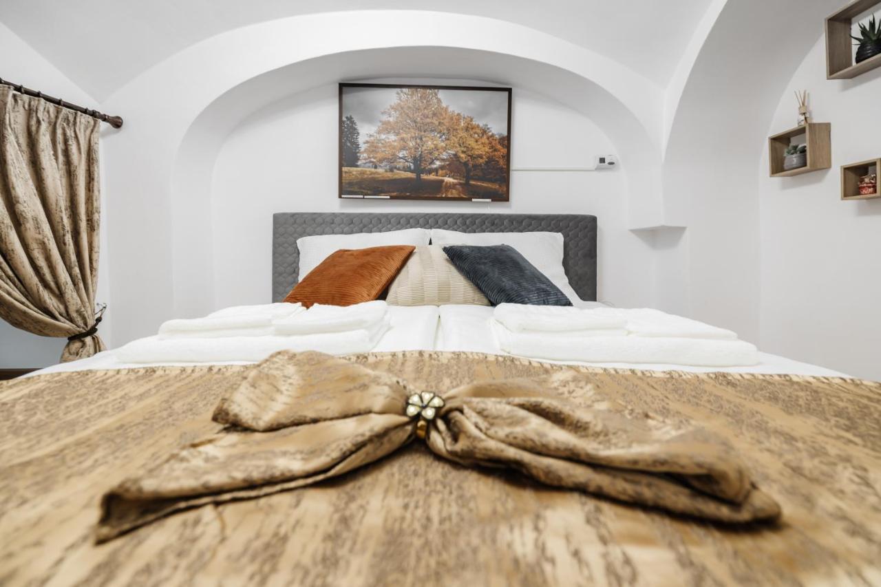 Downtown Cio Apartment Сибиу Экстерьер фото