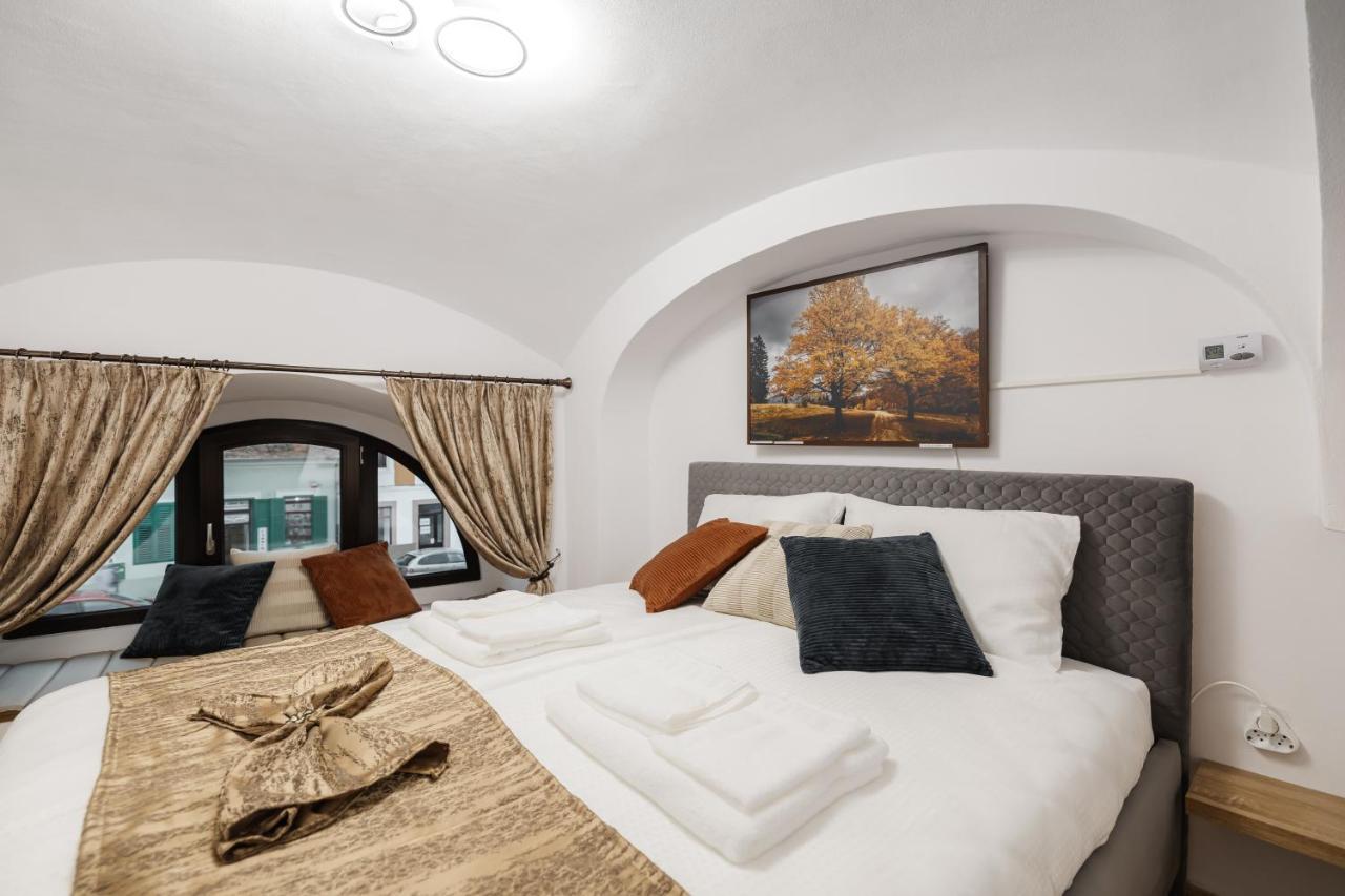 Downtown Cio Apartment Сибиу Экстерьер фото